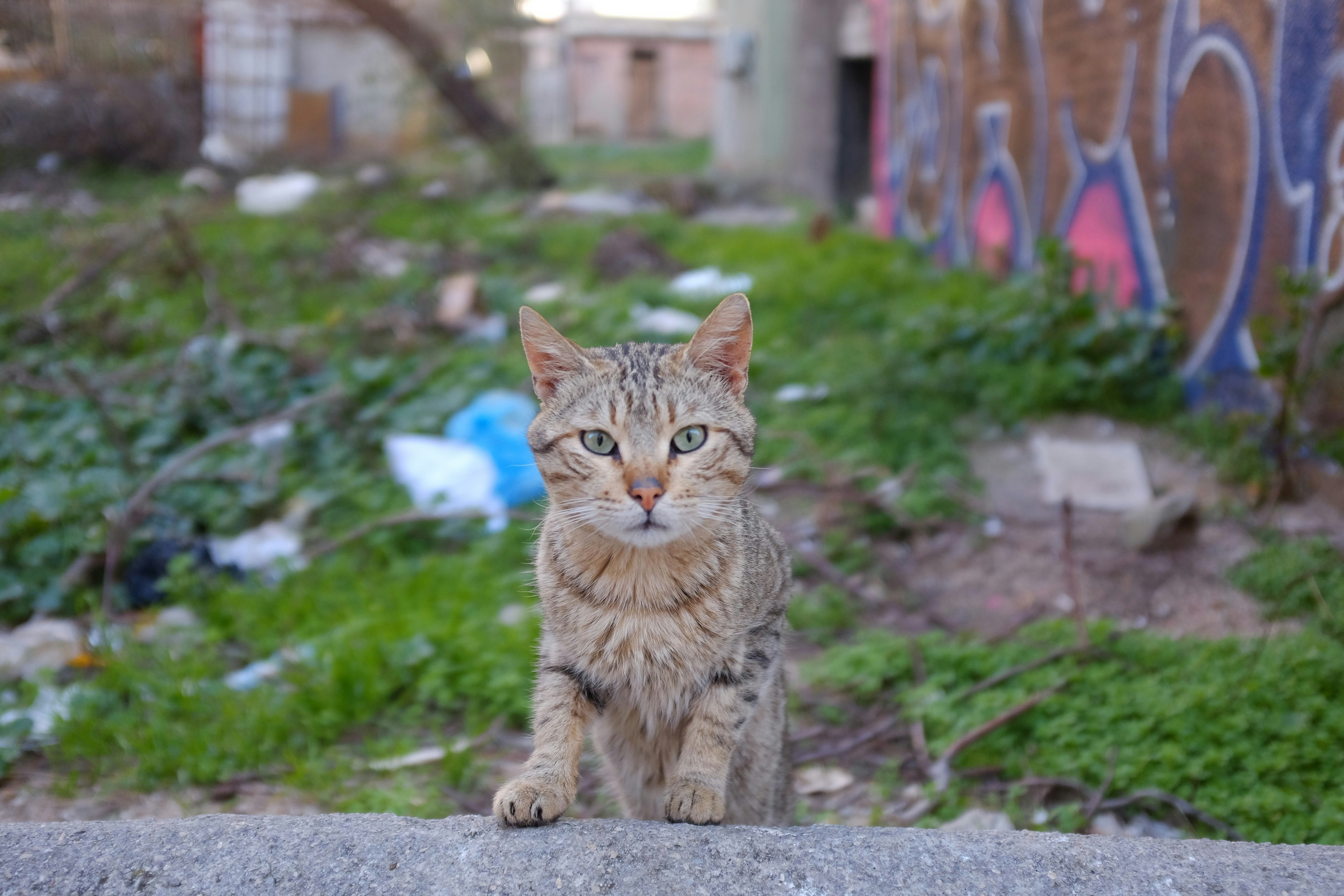 Photo by ignatkushanrev