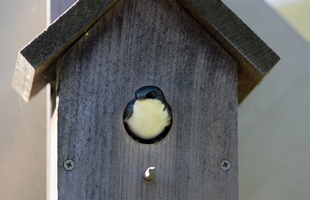 a birdhouse with a hole in the side of it
