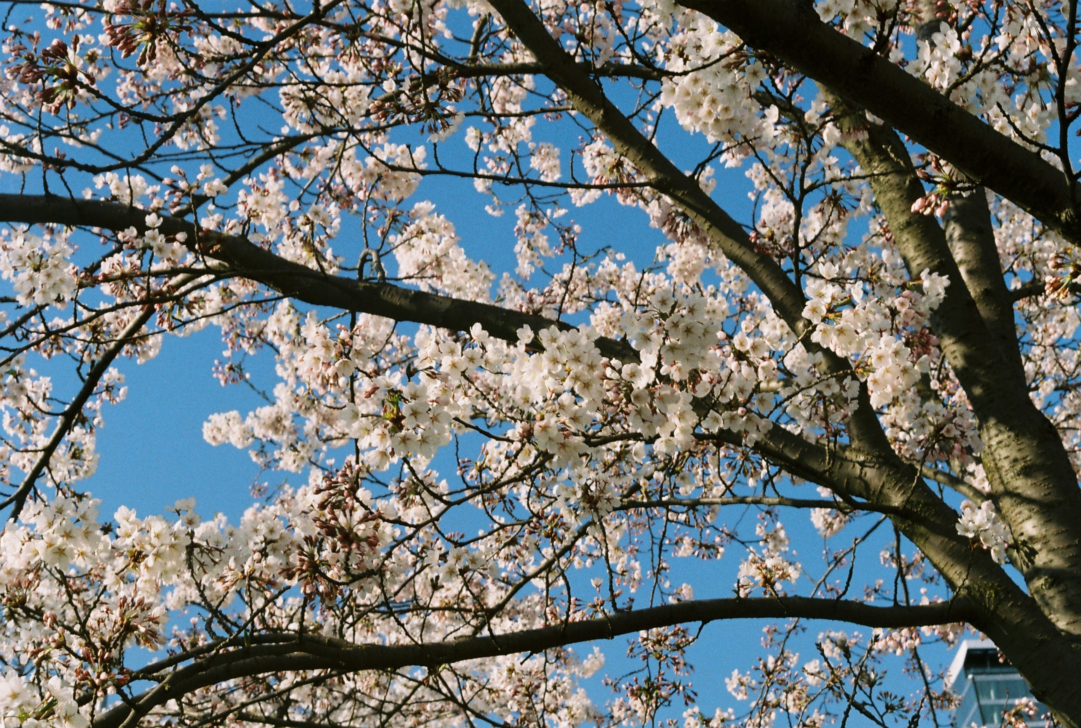 Photo by souledoutemily