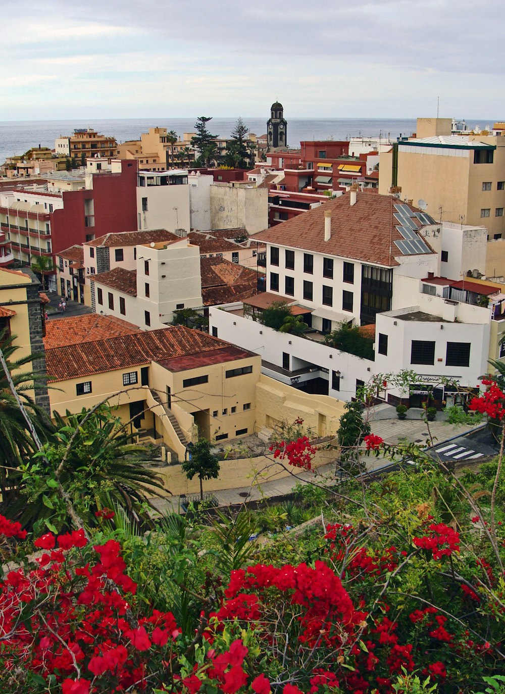 a view of a city with red flowers in the foreground