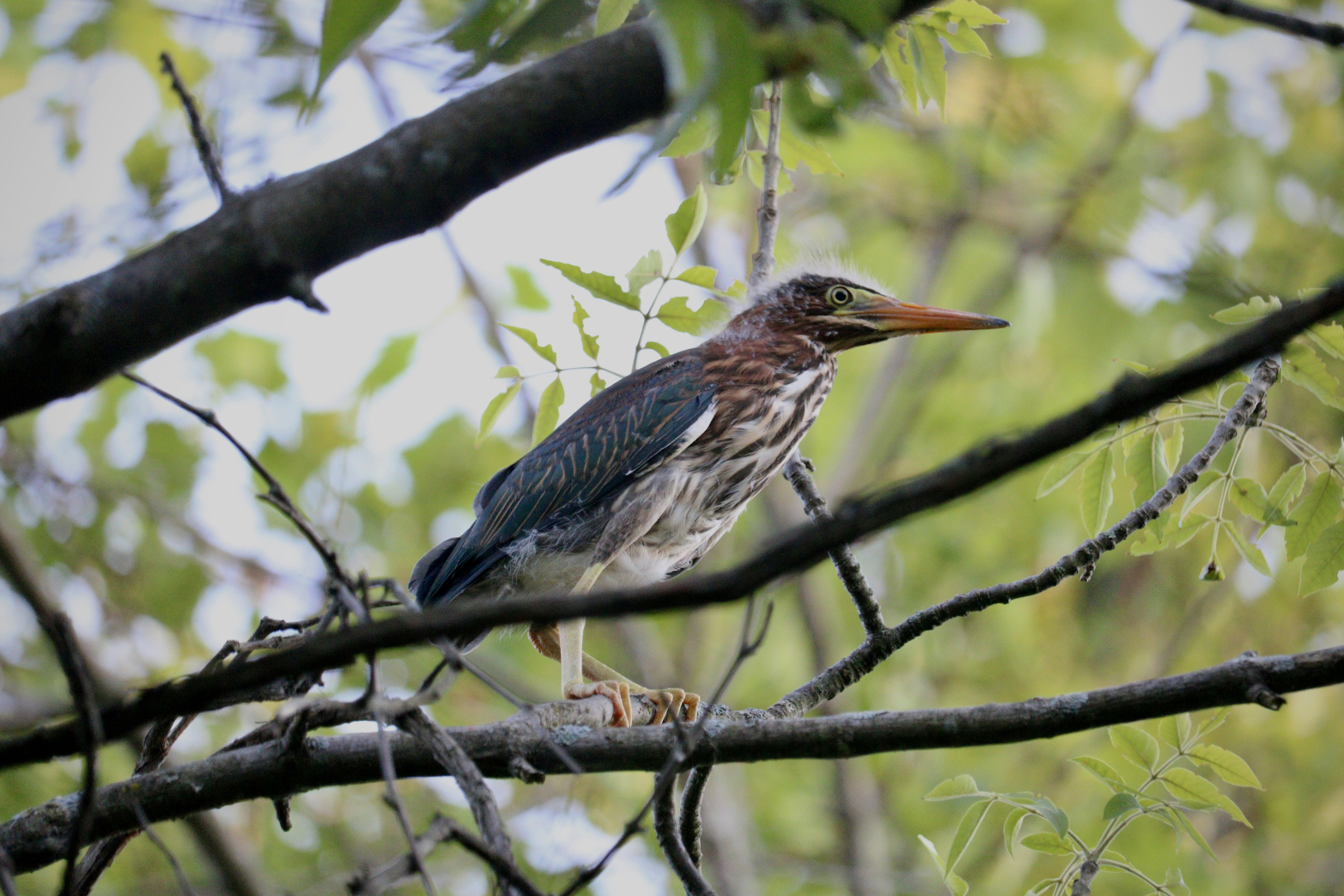 Photo by creativeccaptures