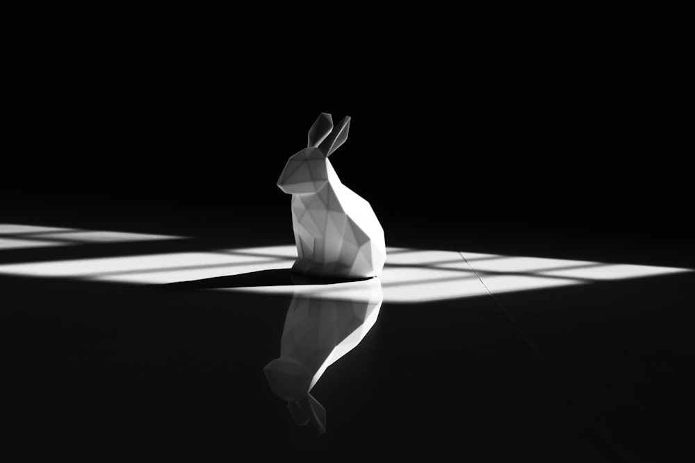 a black and white photo of a rabbit