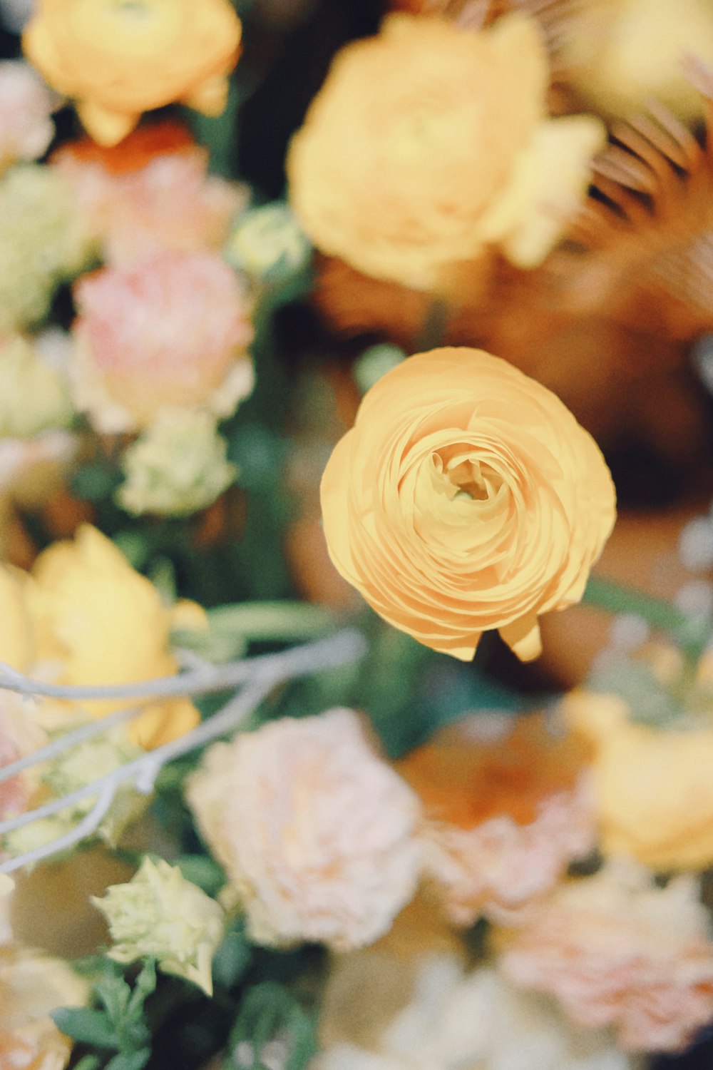 a bunch of flowers that are on a table