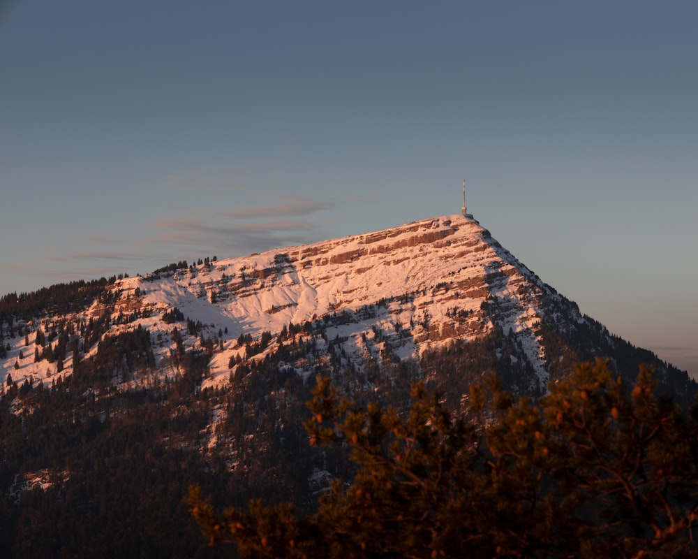 ein schneebedeckter Berg mit Bäumen im Vordergrund