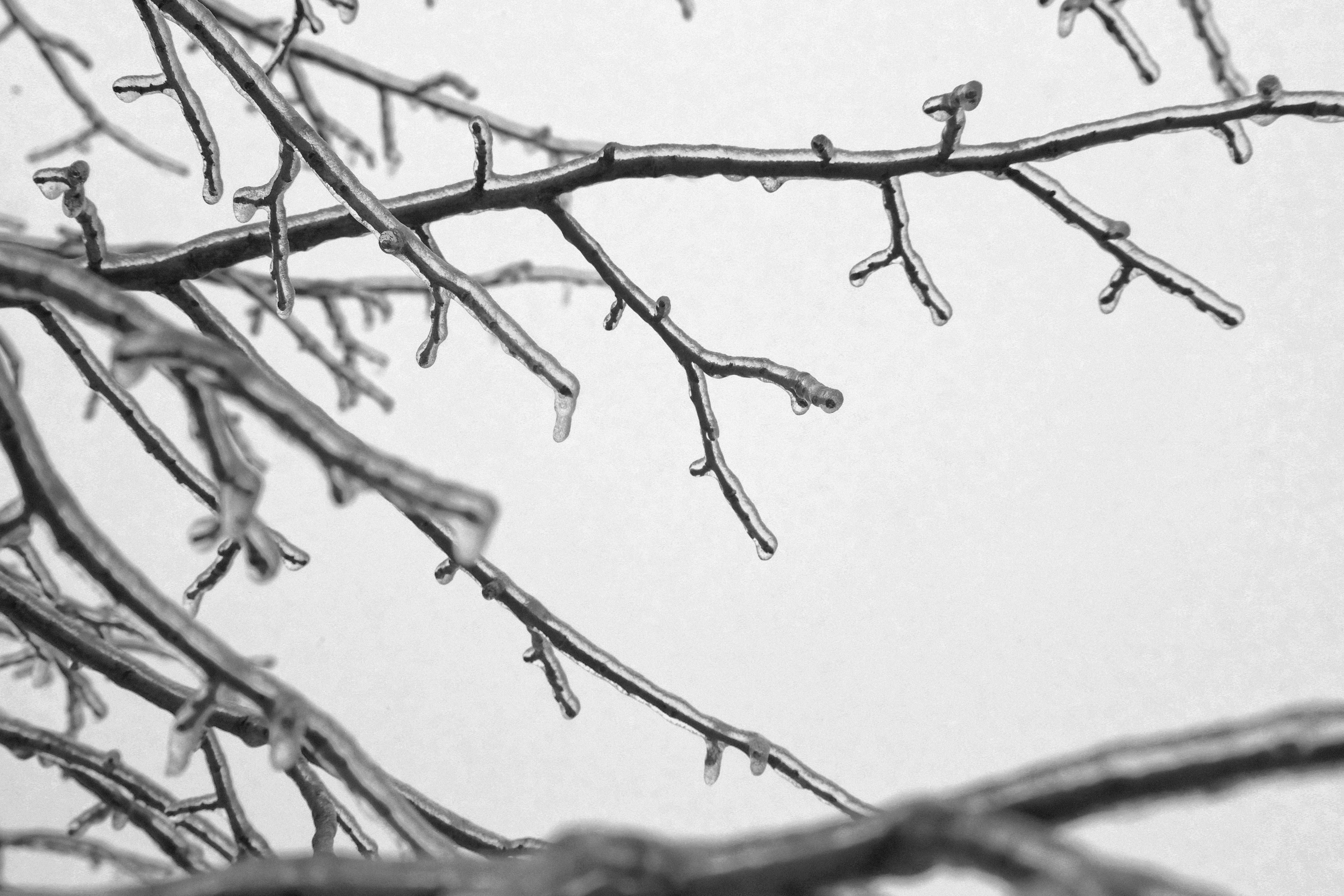 Photo by jhudsongraves