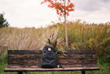A vibrant school backpack resting on a wooden bench surrounded by colorful autumn leaves.