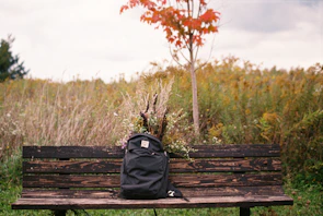 A vibrant school backpack resting on a wooden bench surrounded by colorful autumn leaves.