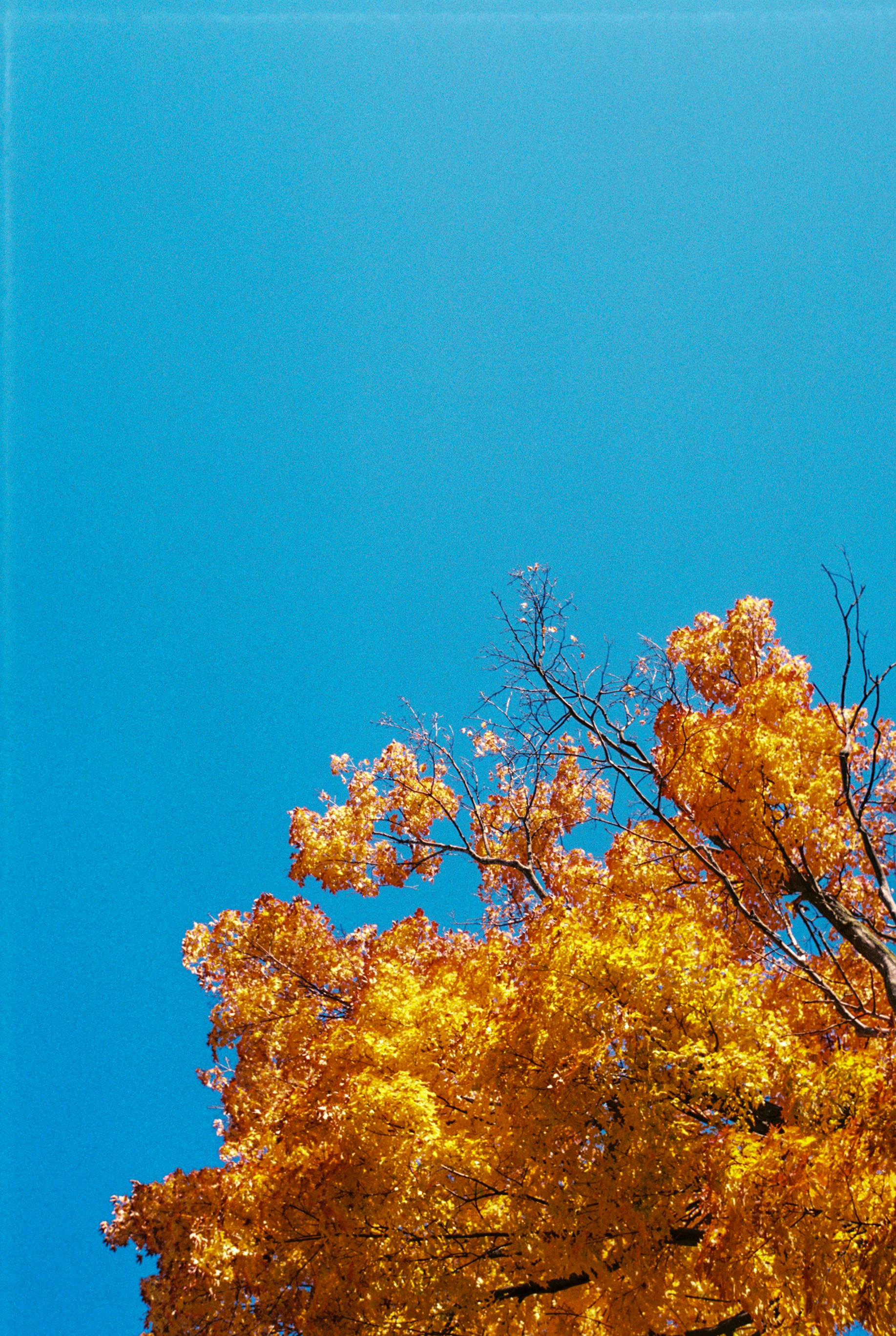 Photo by jhudsongraves