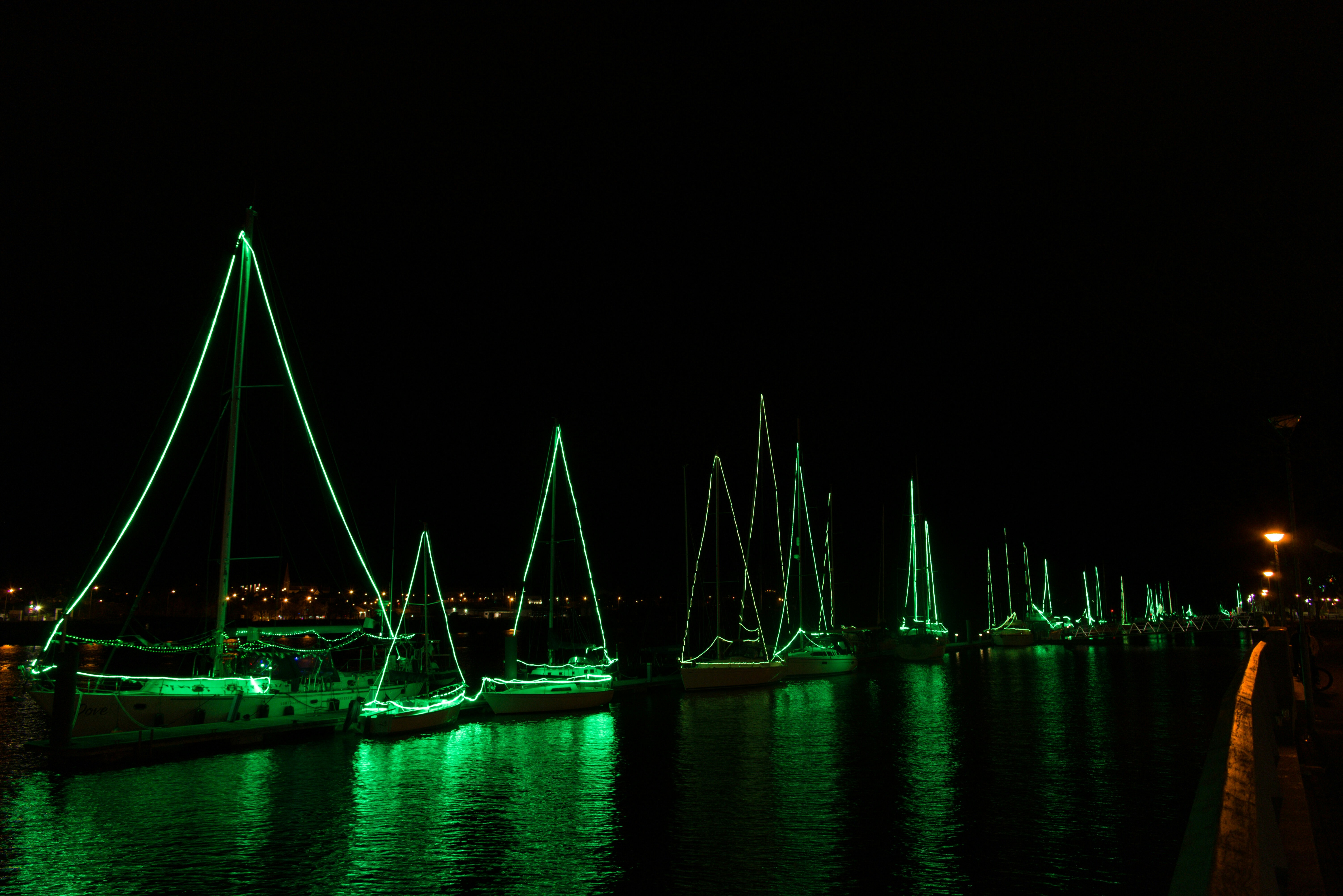 Photo by murphys_photos