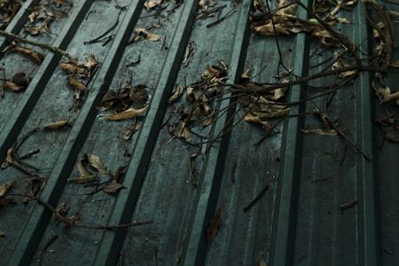 A green metal roof covered with dry leaves and twigs scattered across its surface. The texture of the roof is ribbed, creating parallel lines that highlight the accumulation of organic debris. The leaves vary in size and shape, some curled and others flattened against the roof.