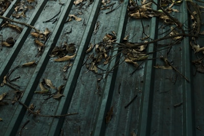 A green metal roof covered with dry leaves and twigs scattered across its surface. The texture of the roof is ribbed, creating parallel lines that highlight the accumulation of organic debris. The leaves vary in size and shape, some curled and others flattened against the roof.