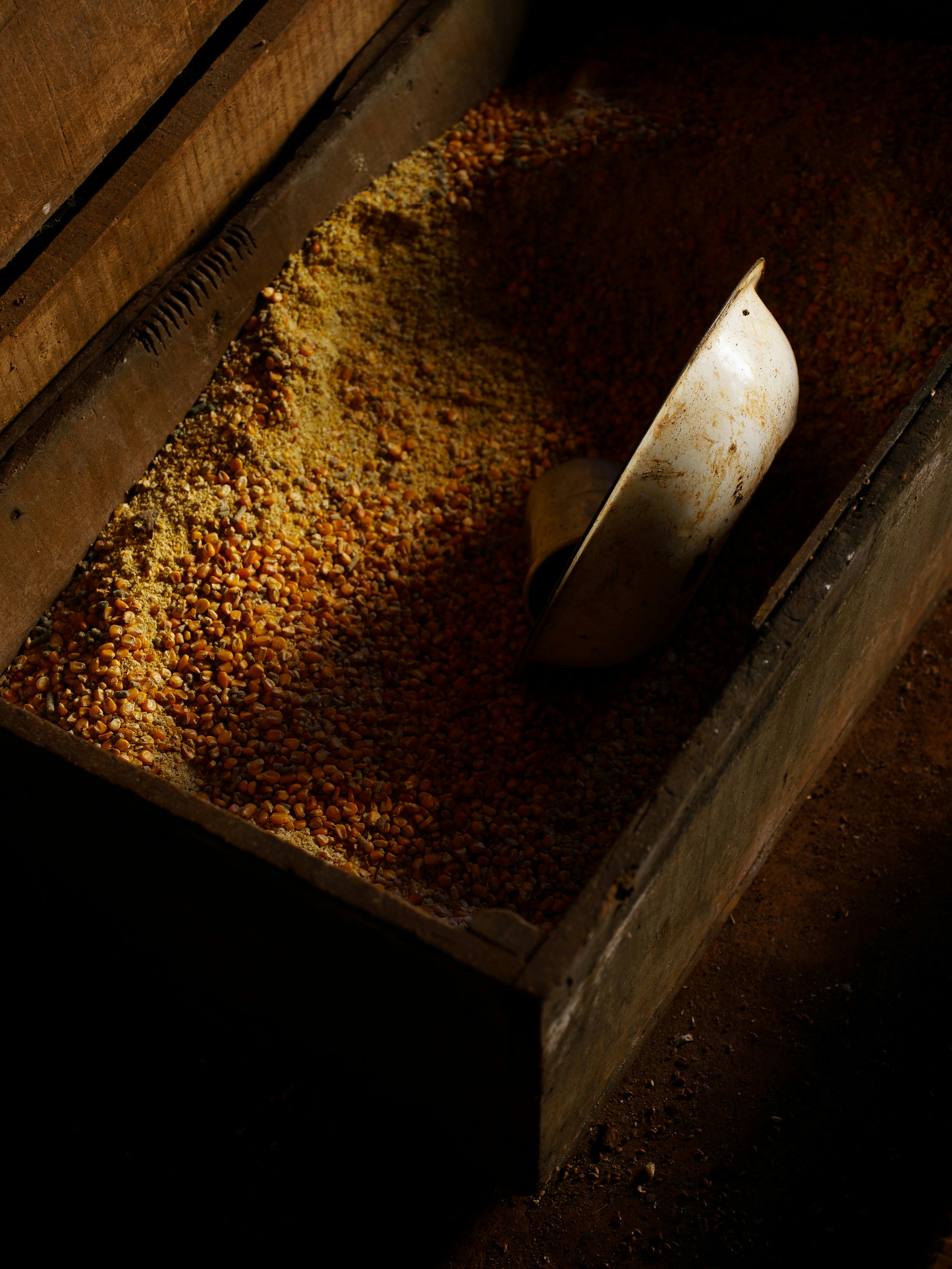 Photo by filipe_cantador