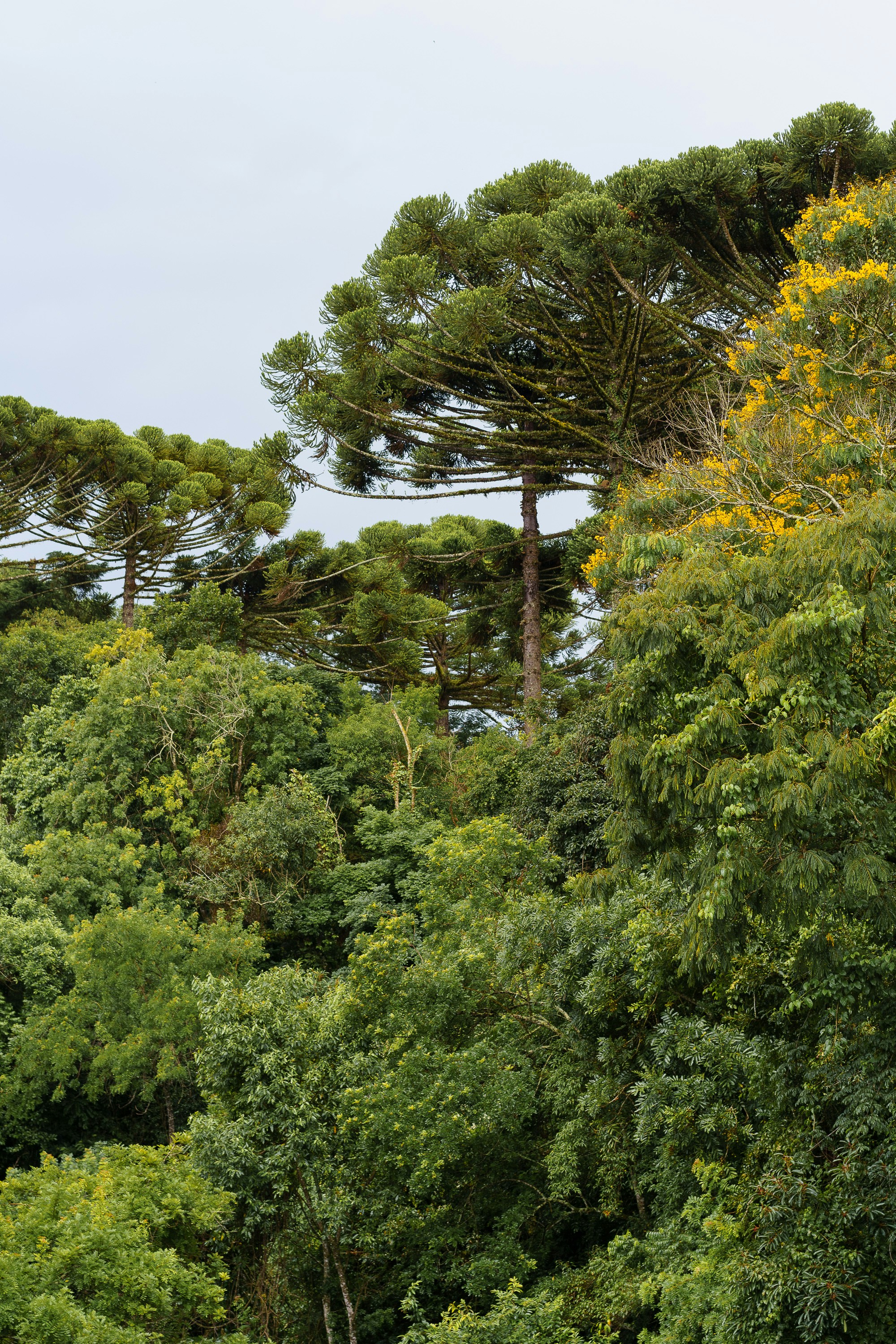 Photo by filipe_cantador