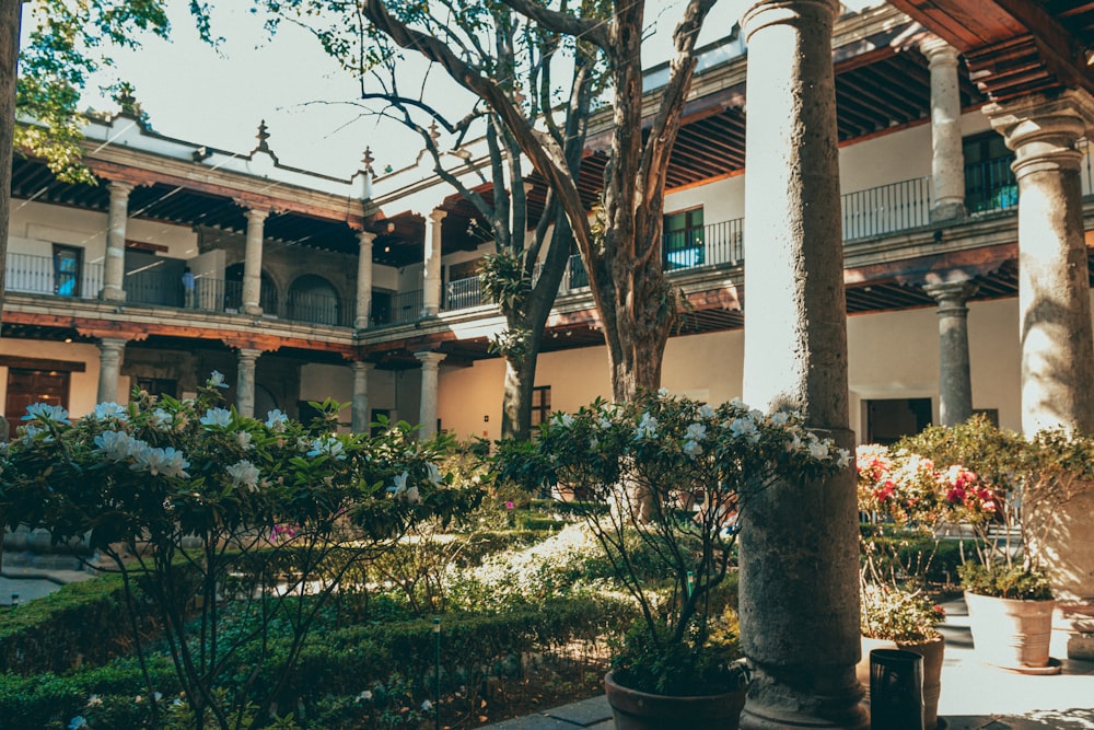 the courtyard of a building with potted plants