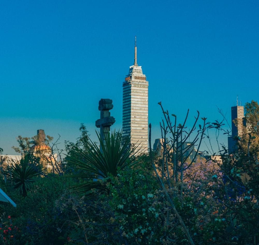 a tall building surrounded by trees and bushes