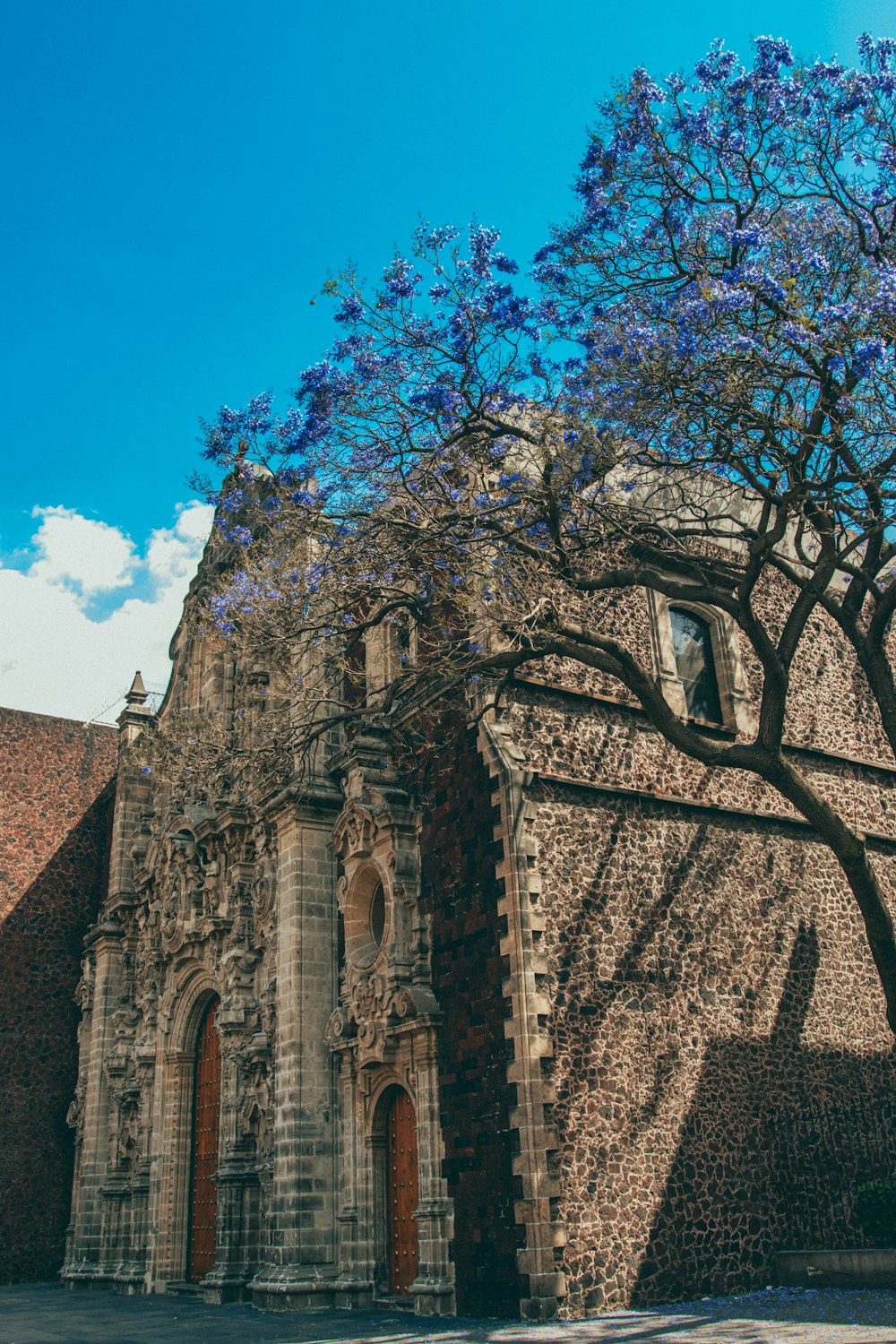 a large building with a tree in front of it