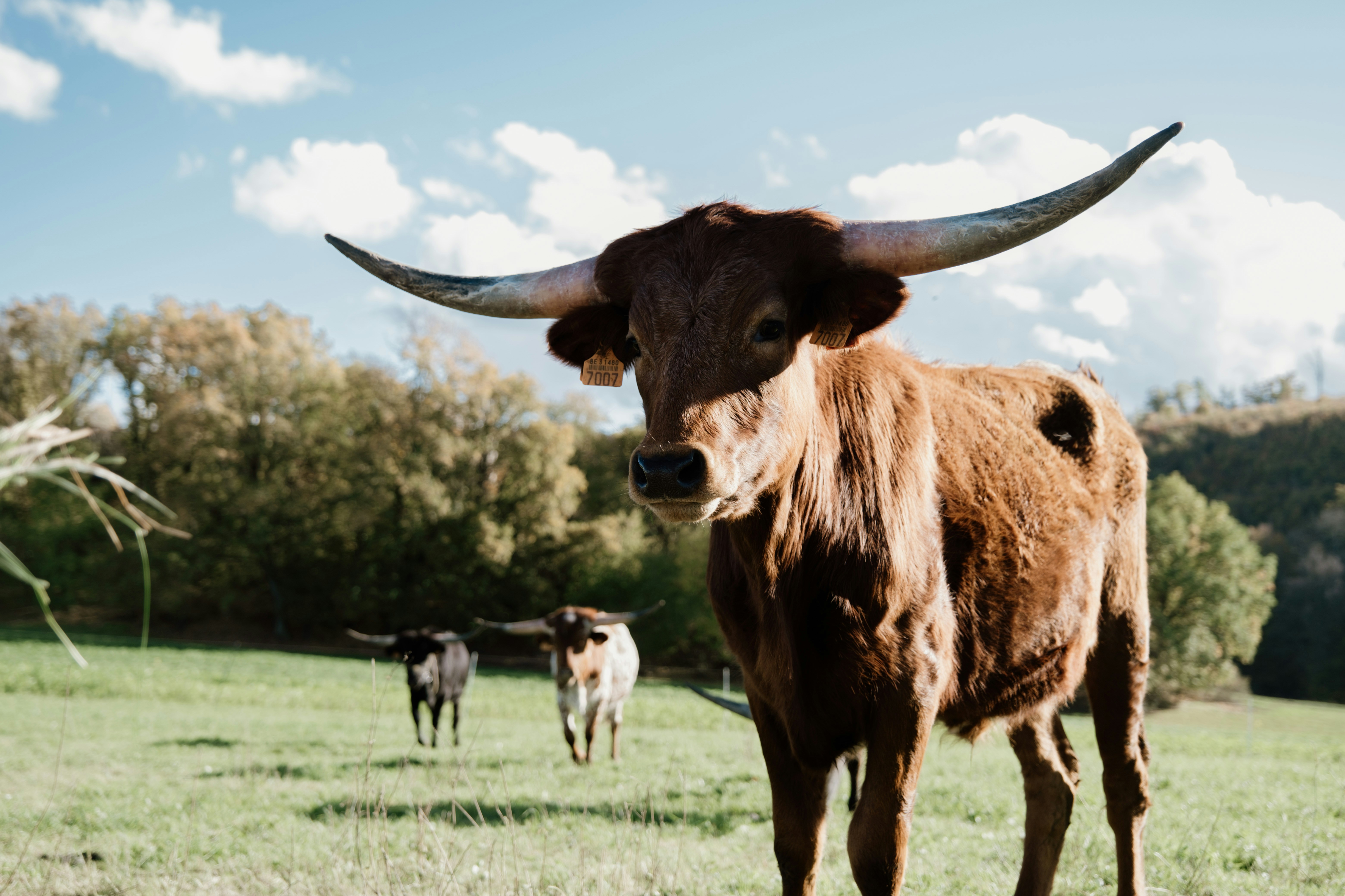 Photo by elinagutmann