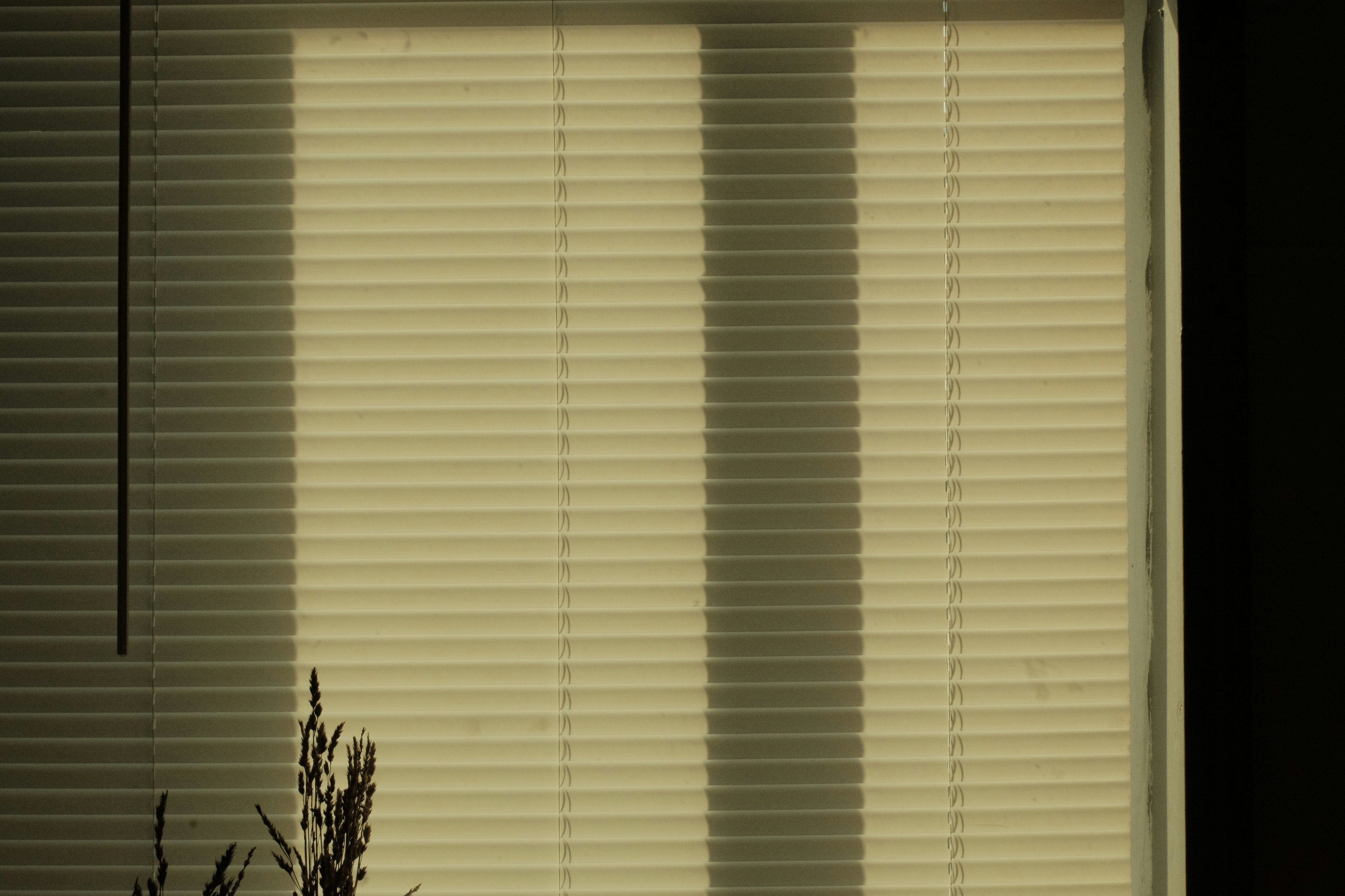 Photo by jhudsongraves