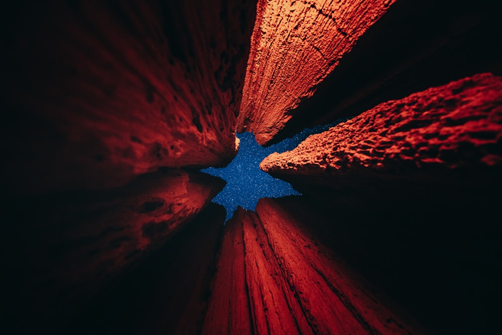 a red and blue photo taken from below