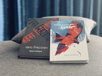 Two books are placed on a textured gray surface. The book on the left has a black cover with bold red and black text in an artistic font. The book on the right features a white cover with an illustration of a large red and black bird in flight, with additional text in a stylized script. The background includes a soft-focus curtain, creating a calm ambiance.