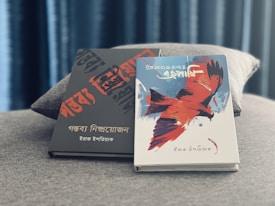 Two books are placed on a textured gray surface. The book on the left has a black cover with bold red and black text in an artistic font. The book on the right features a white cover with an illustration of a large red and black bird in flight, with additional text in a stylized script. The background includes a soft-focus curtain, creating a calm ambiance.
