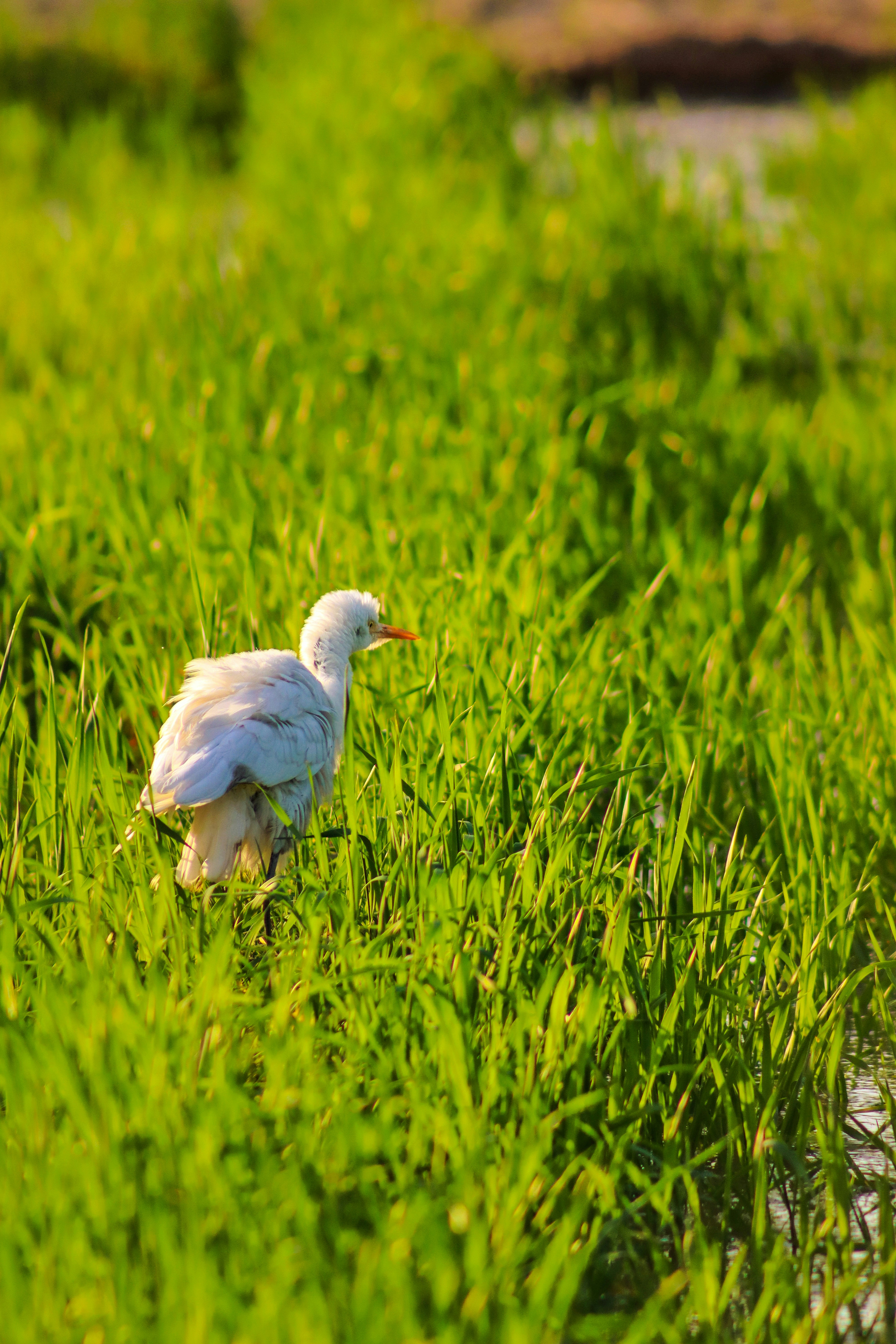 Photo by drphotographer152