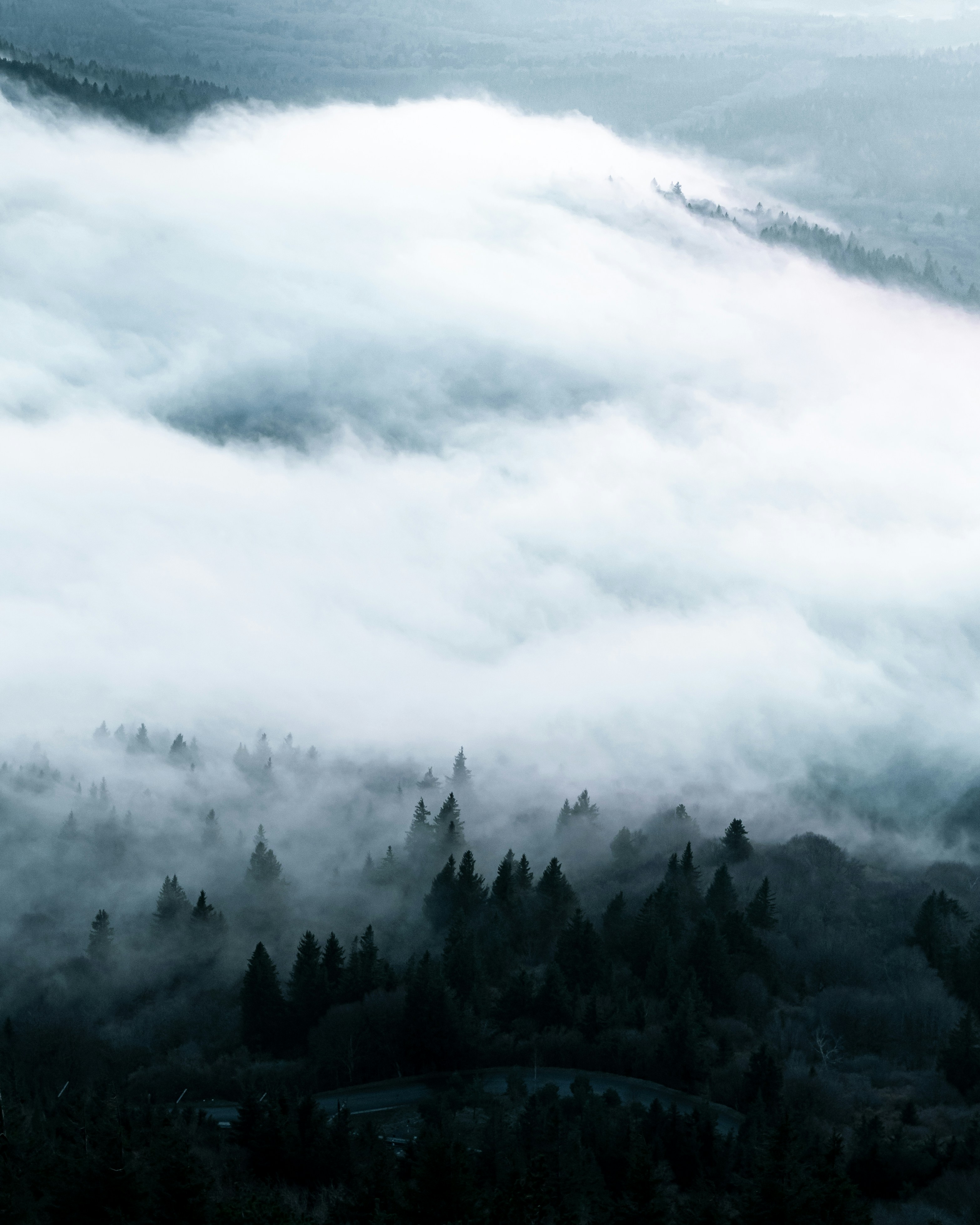 Photo by bruncolombo