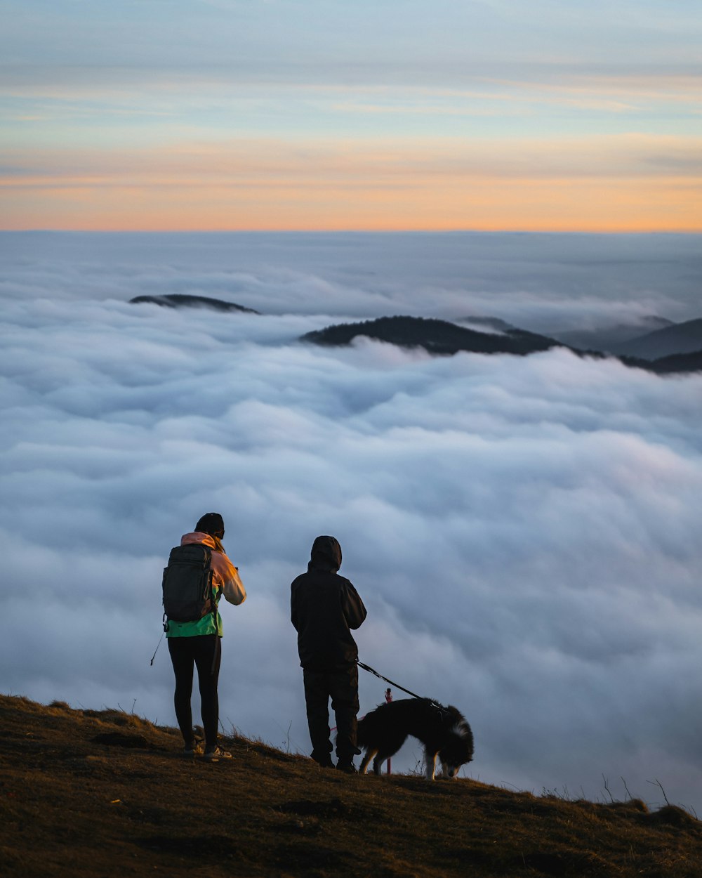 a couple of people standing on top of a hill with a dog