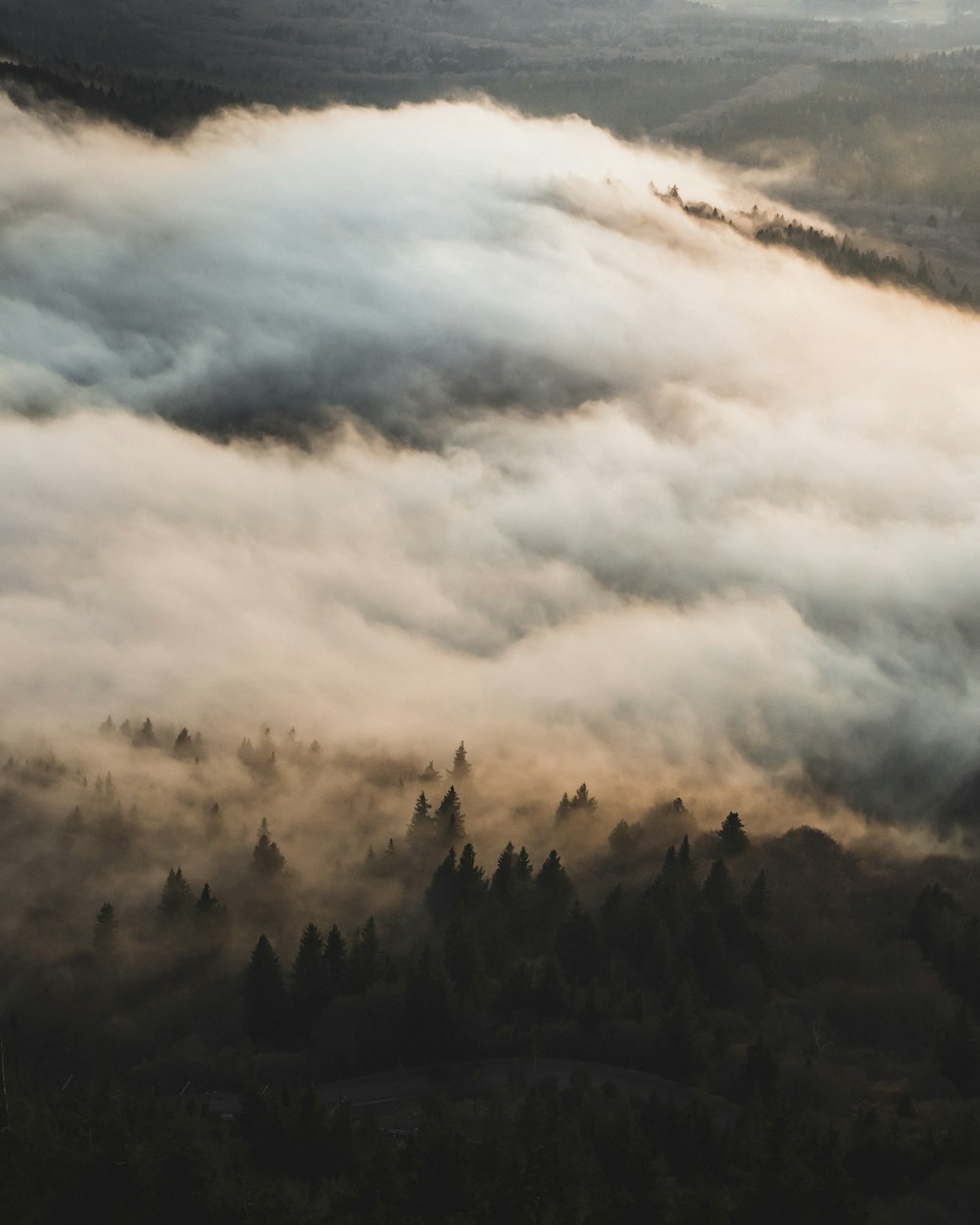 a view of a foggy valley with trees in the foreground