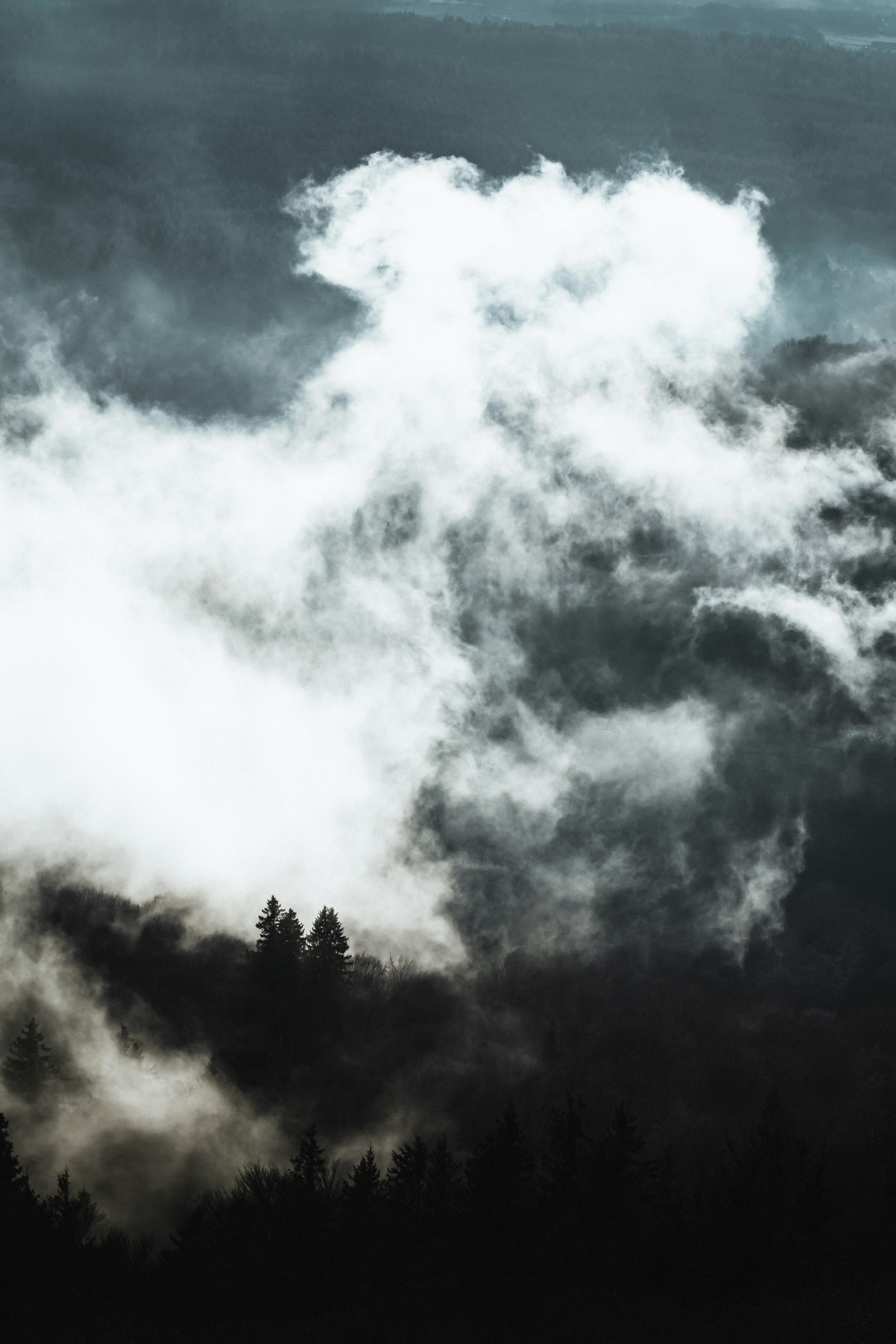 Photo by bruncolombo