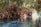 A tranquil waterway surrounded by dense, lush green foliage with overhanging palm fronds, and a single black inflatable tube floating gently on the clear blue water.