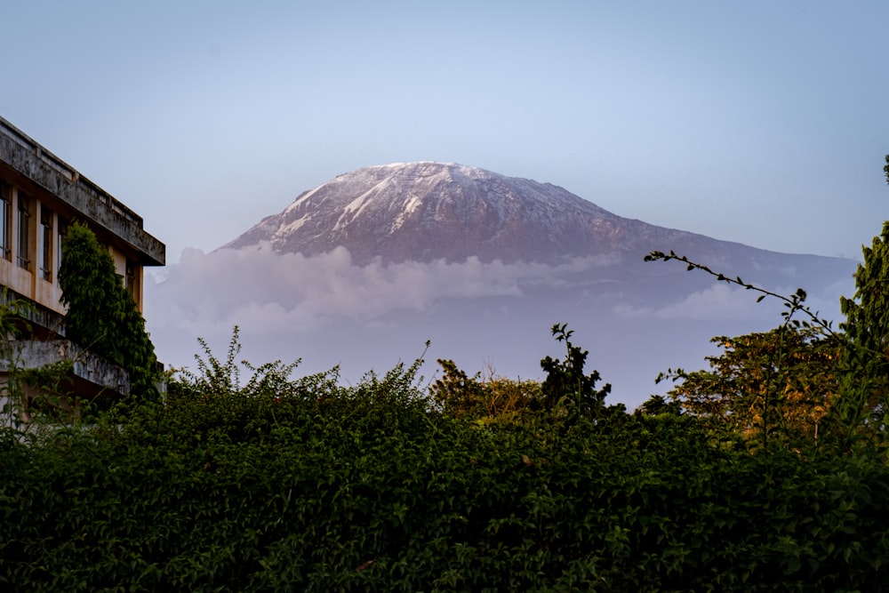 a view of a snow covered mountain from a building