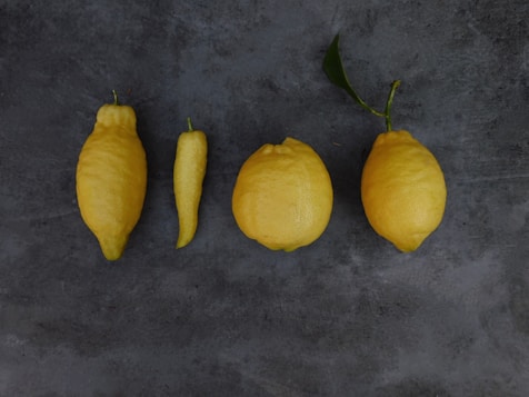 an image showing four lemons in different shapes and sizes. Illustrates uniqueness of culture