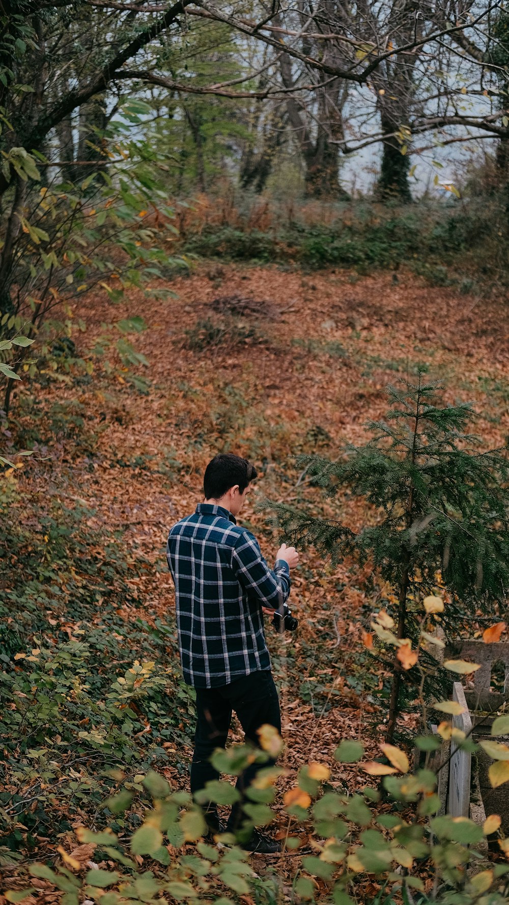 a man standing in a forest holding a frisbee