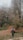 a man walking down a dirt road next to a forest