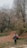 a man walking down a dirt road next to a forest