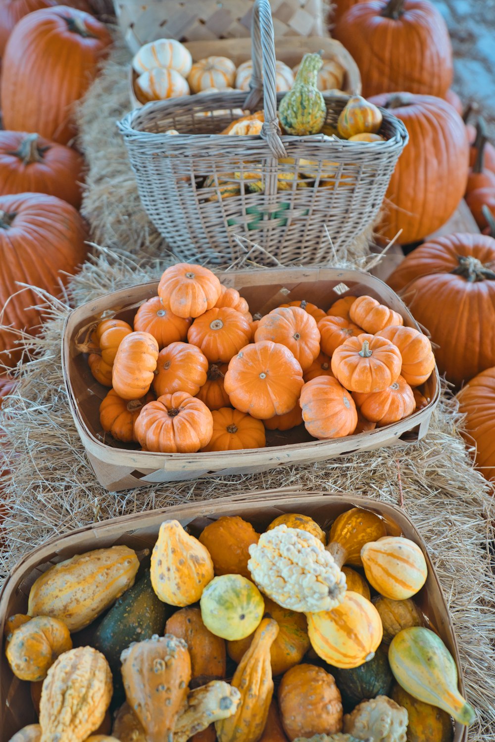 a table topped with baskets filled with pumpkins
