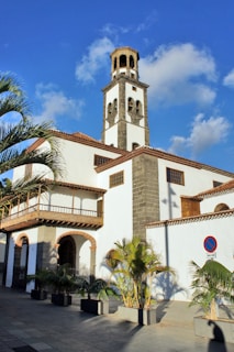 A historic church building features a tall bell tower with arched openings. The structure is characterized by its white walls contrasted with dark stone accents and a tiled roof. Several potted palm plants are arranged in front of the church, casting shadows on the ground. A clear blue sky with a few clouds forms the backdrop.