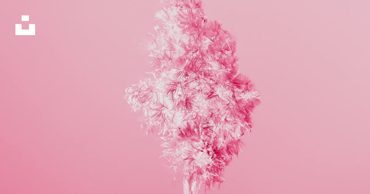 Dynamic Background Pink Tree A single white tree against a pink background photo โ Free Flower Image ...