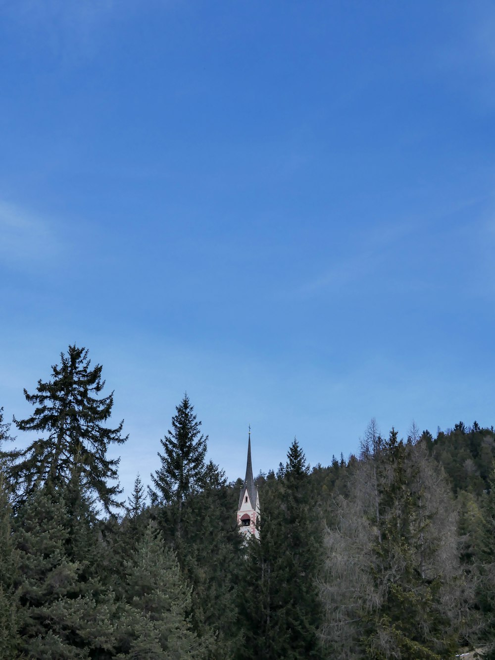 a church in the middle of a forest