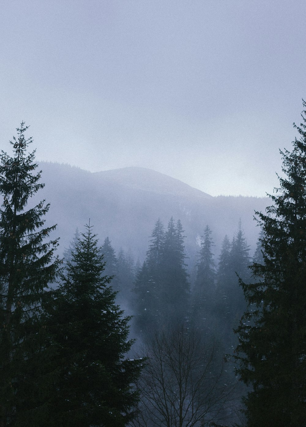 a snow covered mountain with trees in the foreground