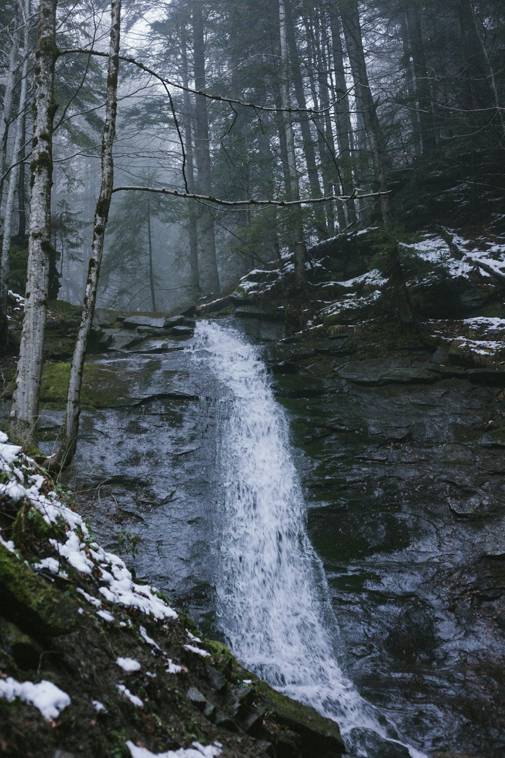 a waterfall in a forest with snow on the ground