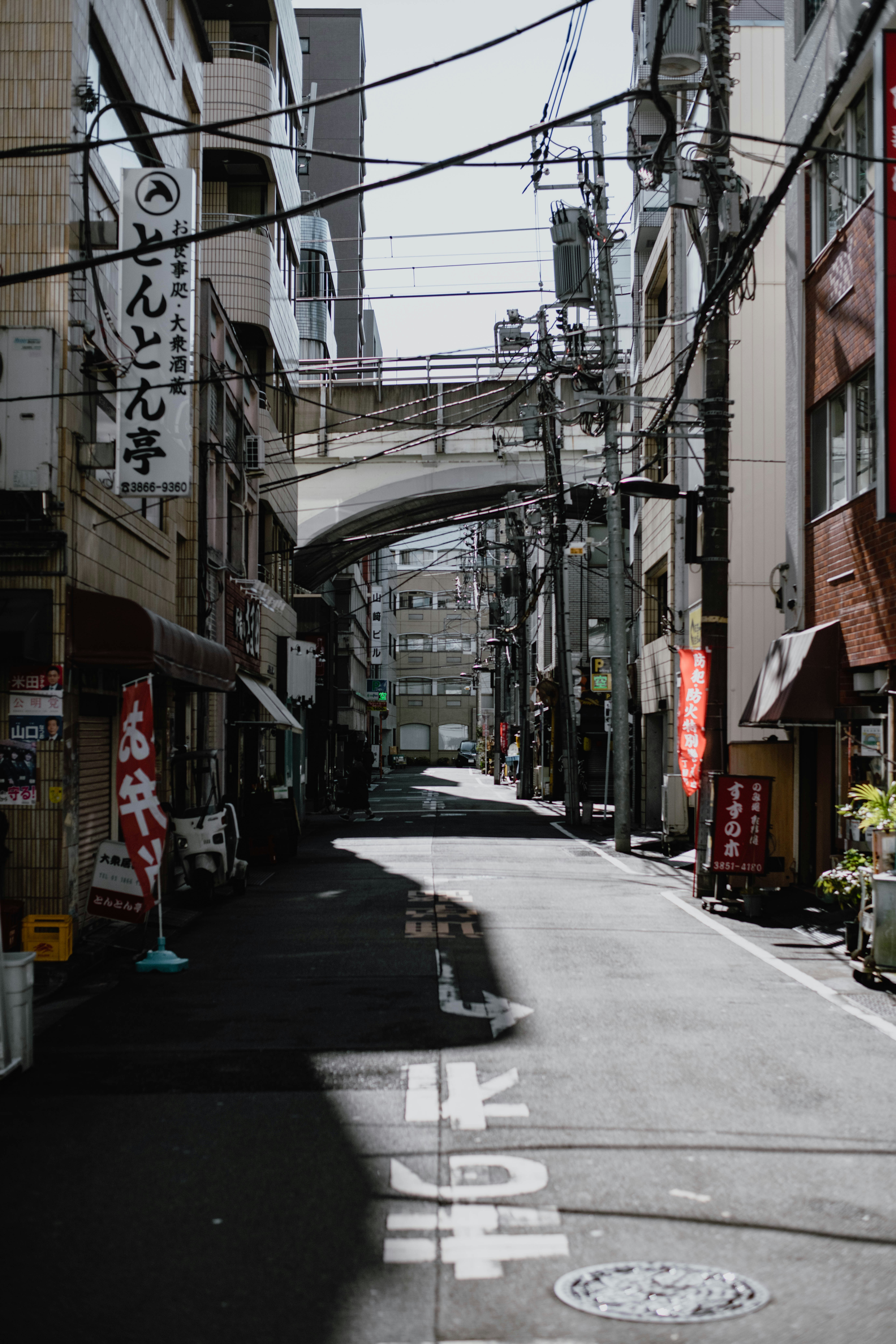 Photo by jamillatrach