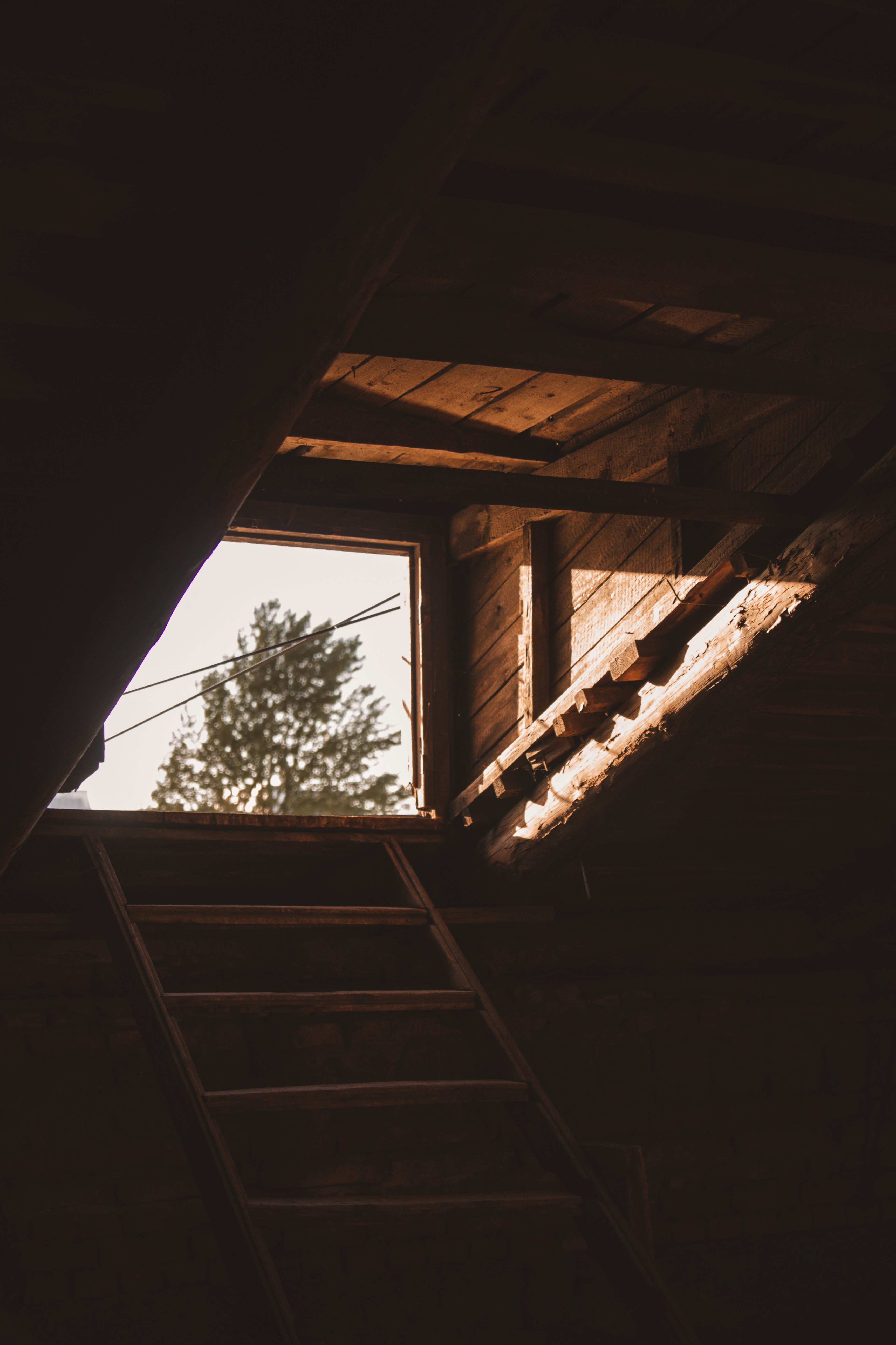 Photo by sam_badmaeva