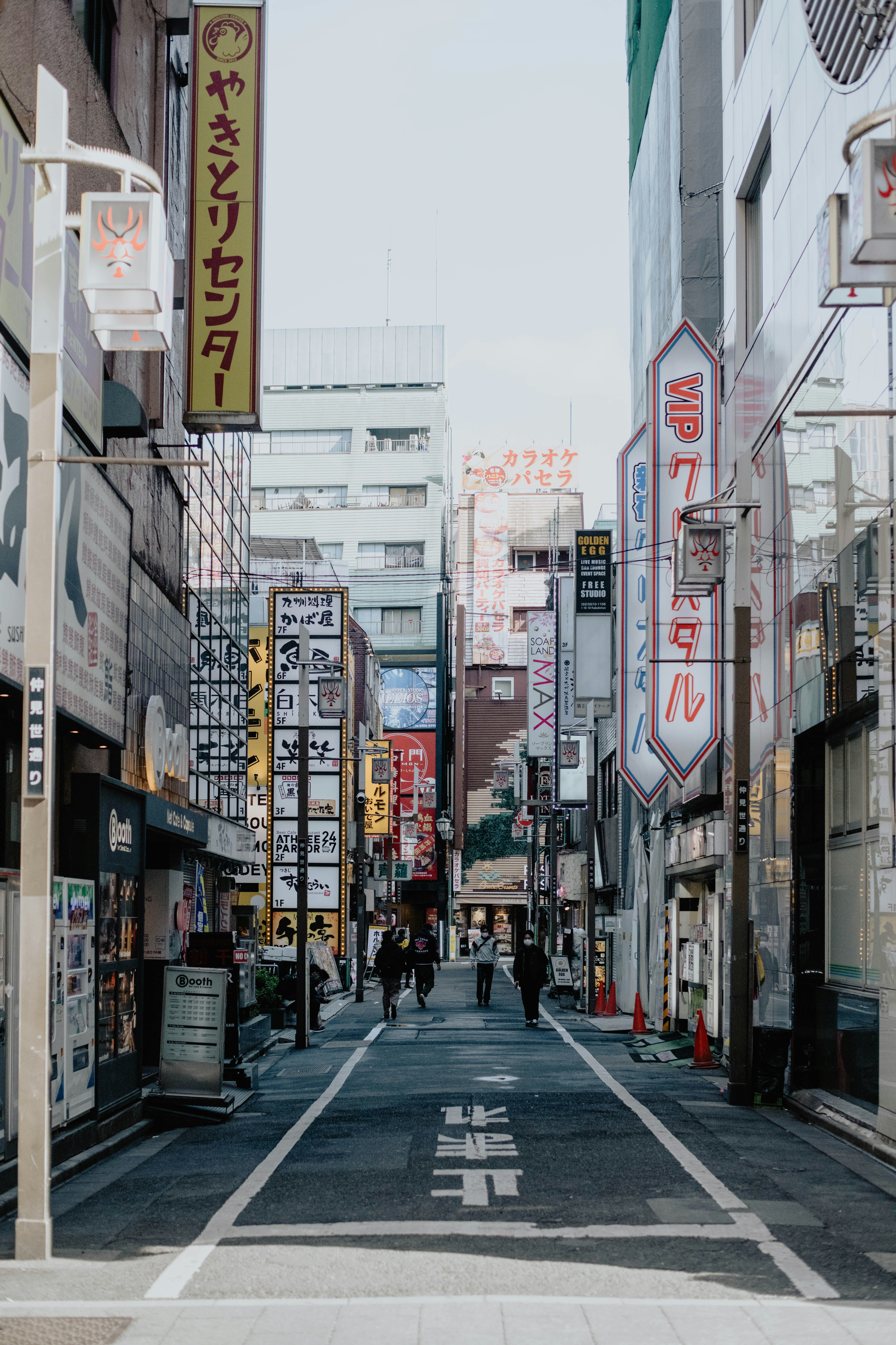 Photo by jamillatrach