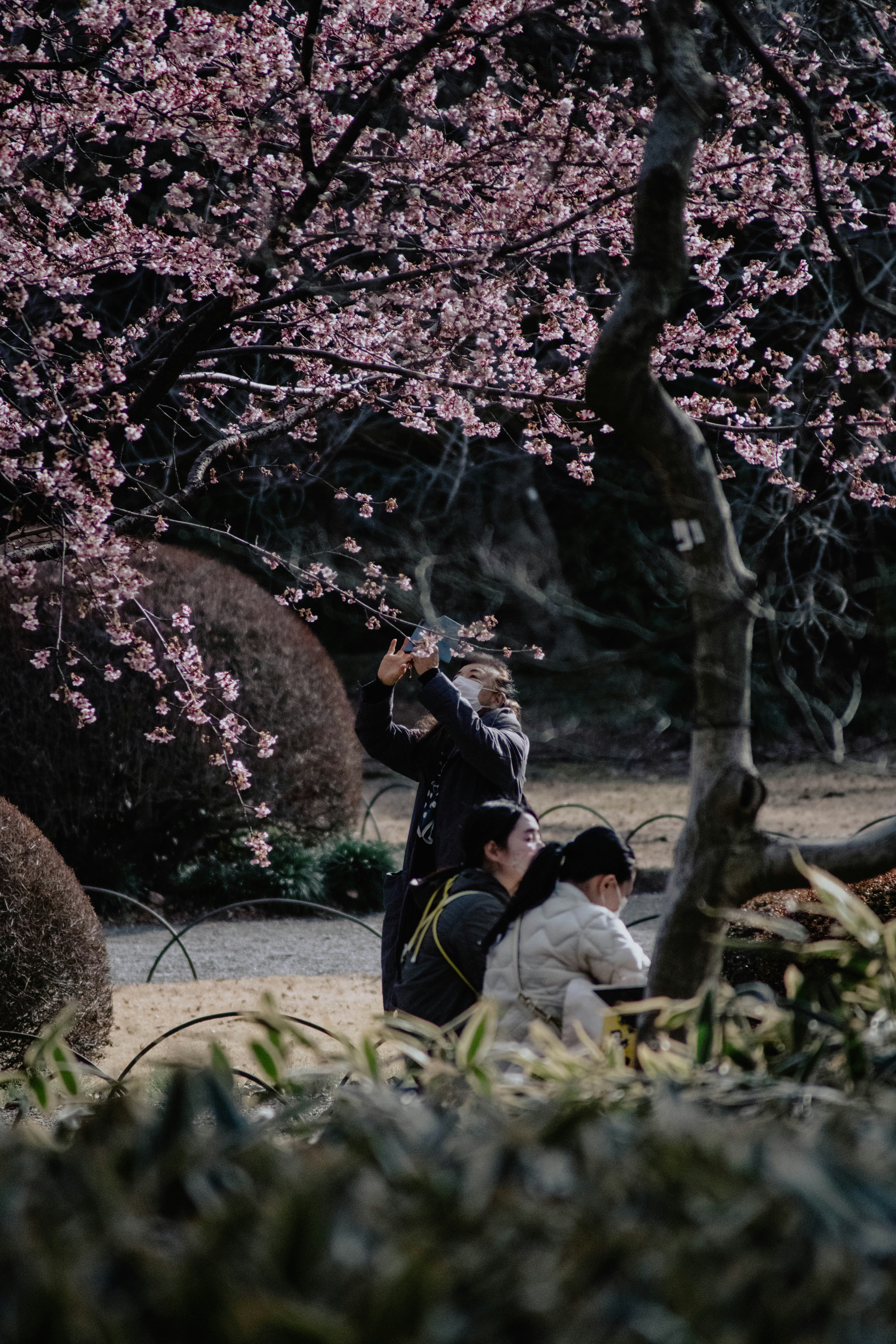 Photo by jamillatrach