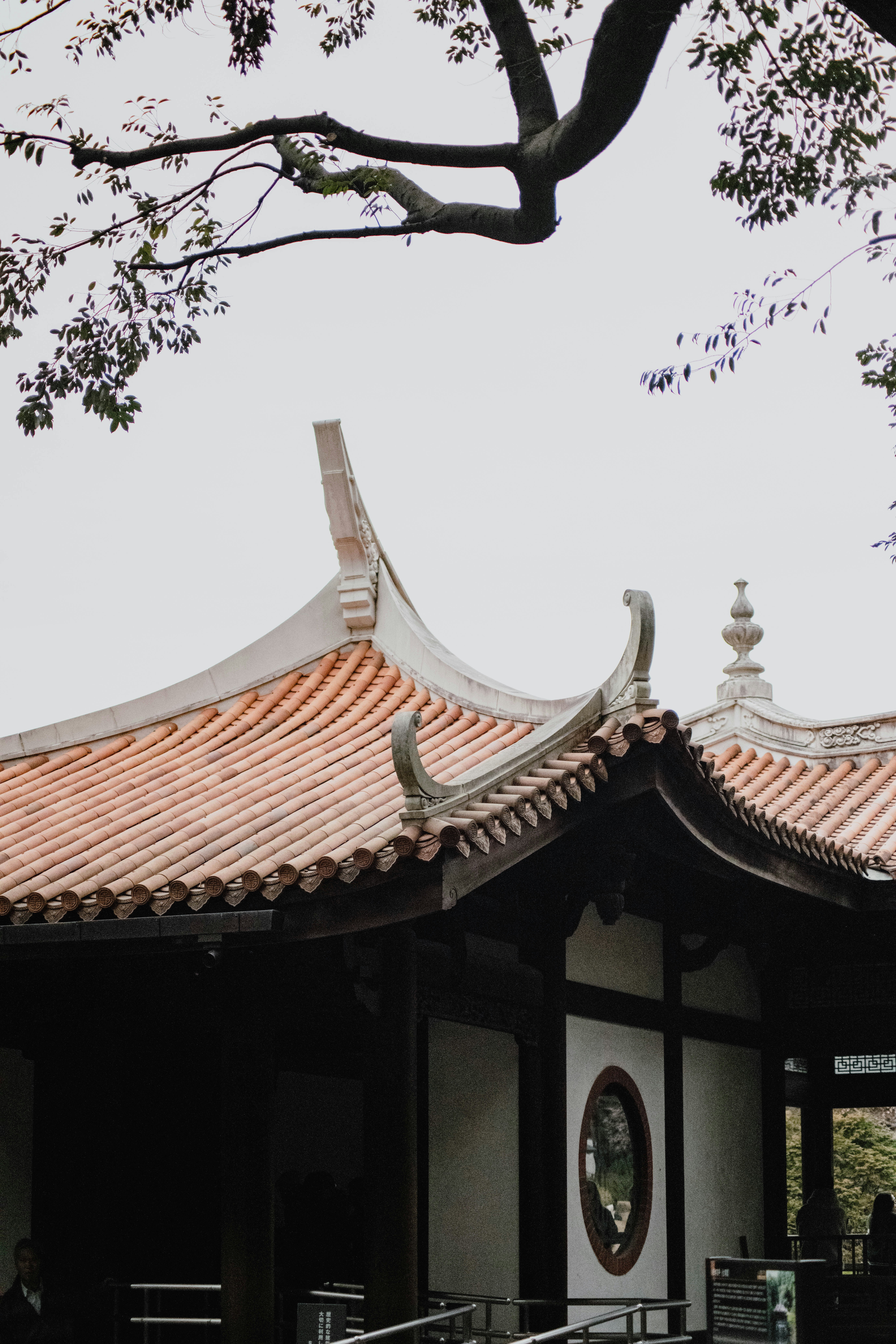 Photo by jamillatrach