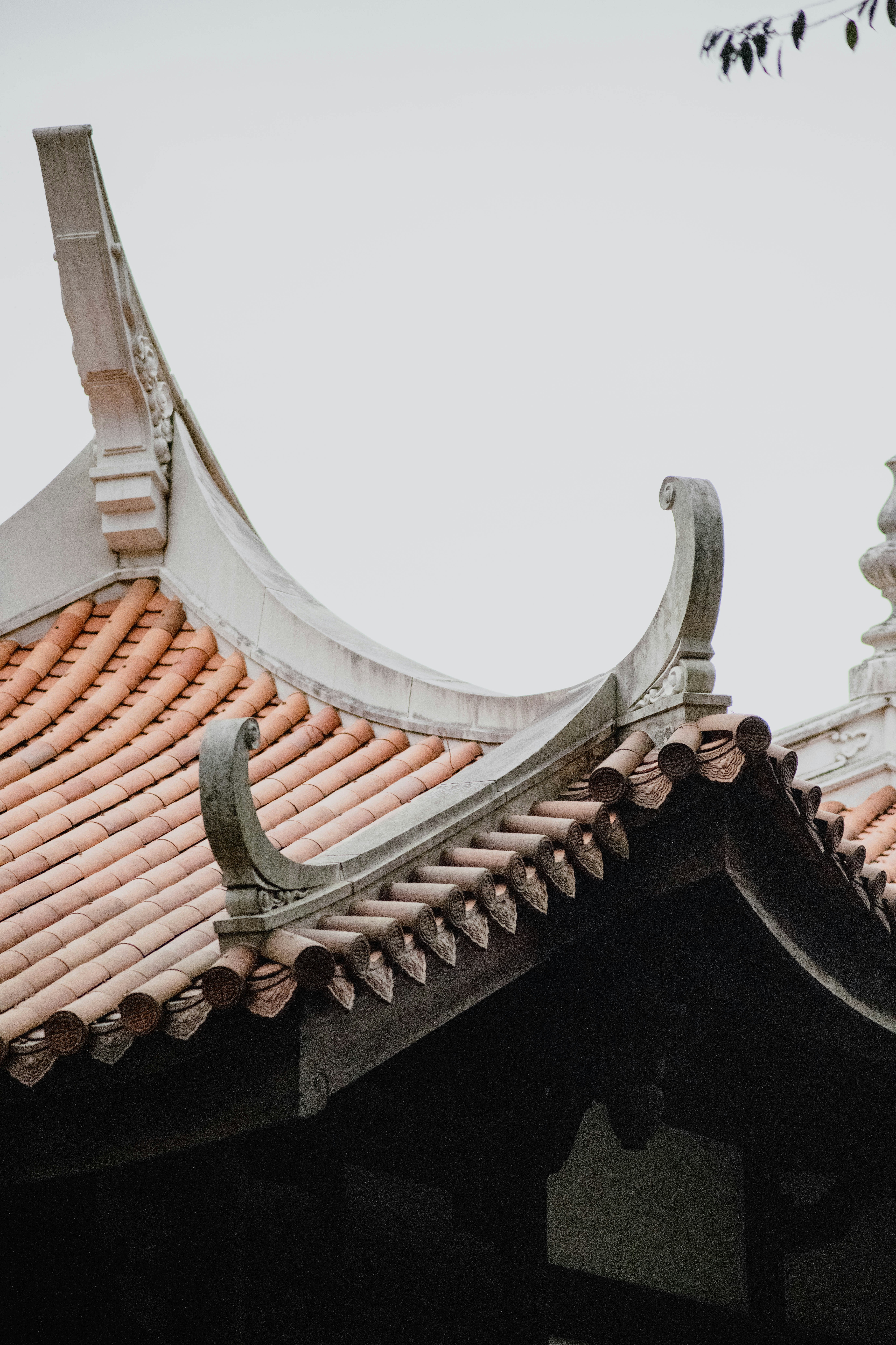 Photo by jamillatrach