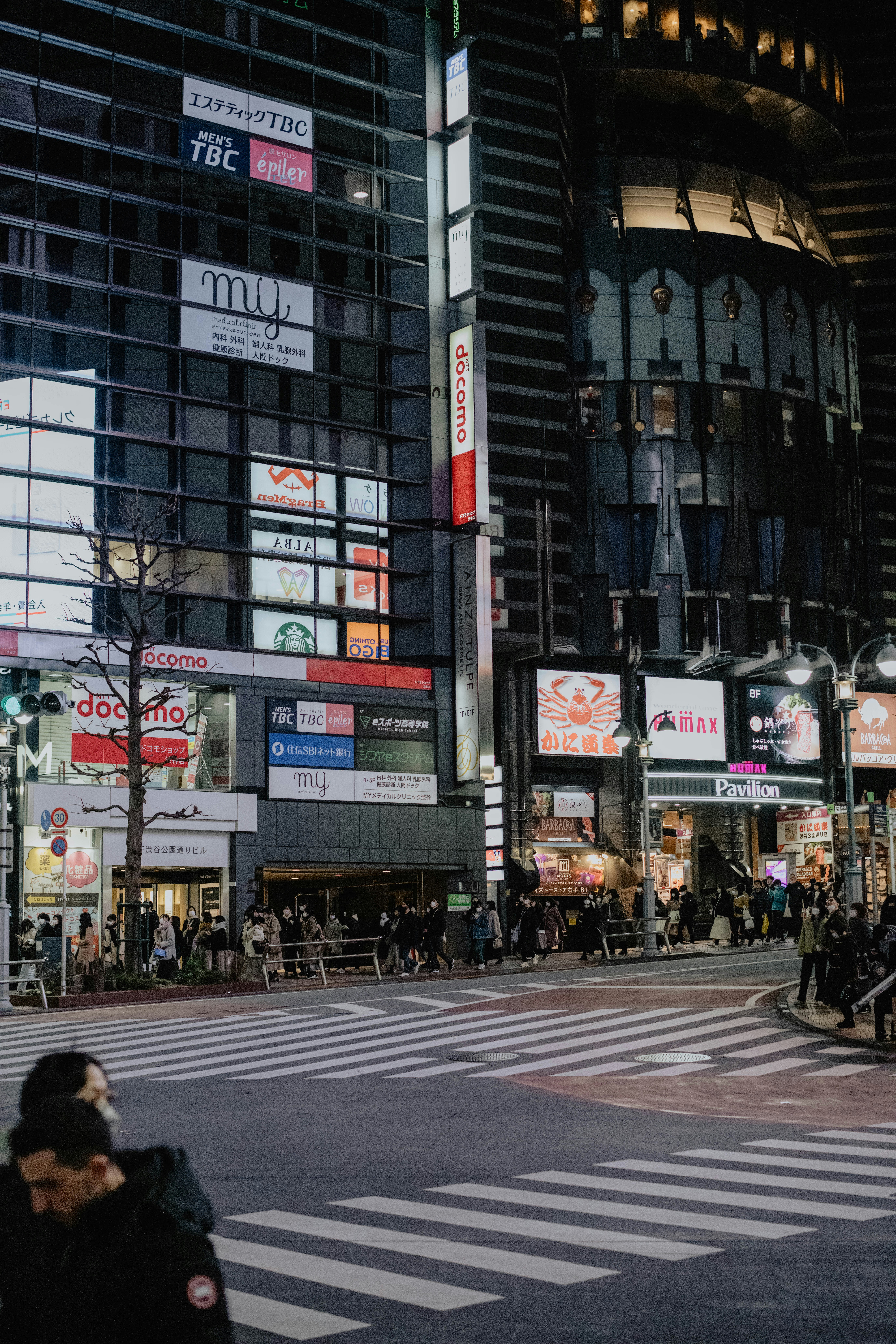 Photo by jamillatrach