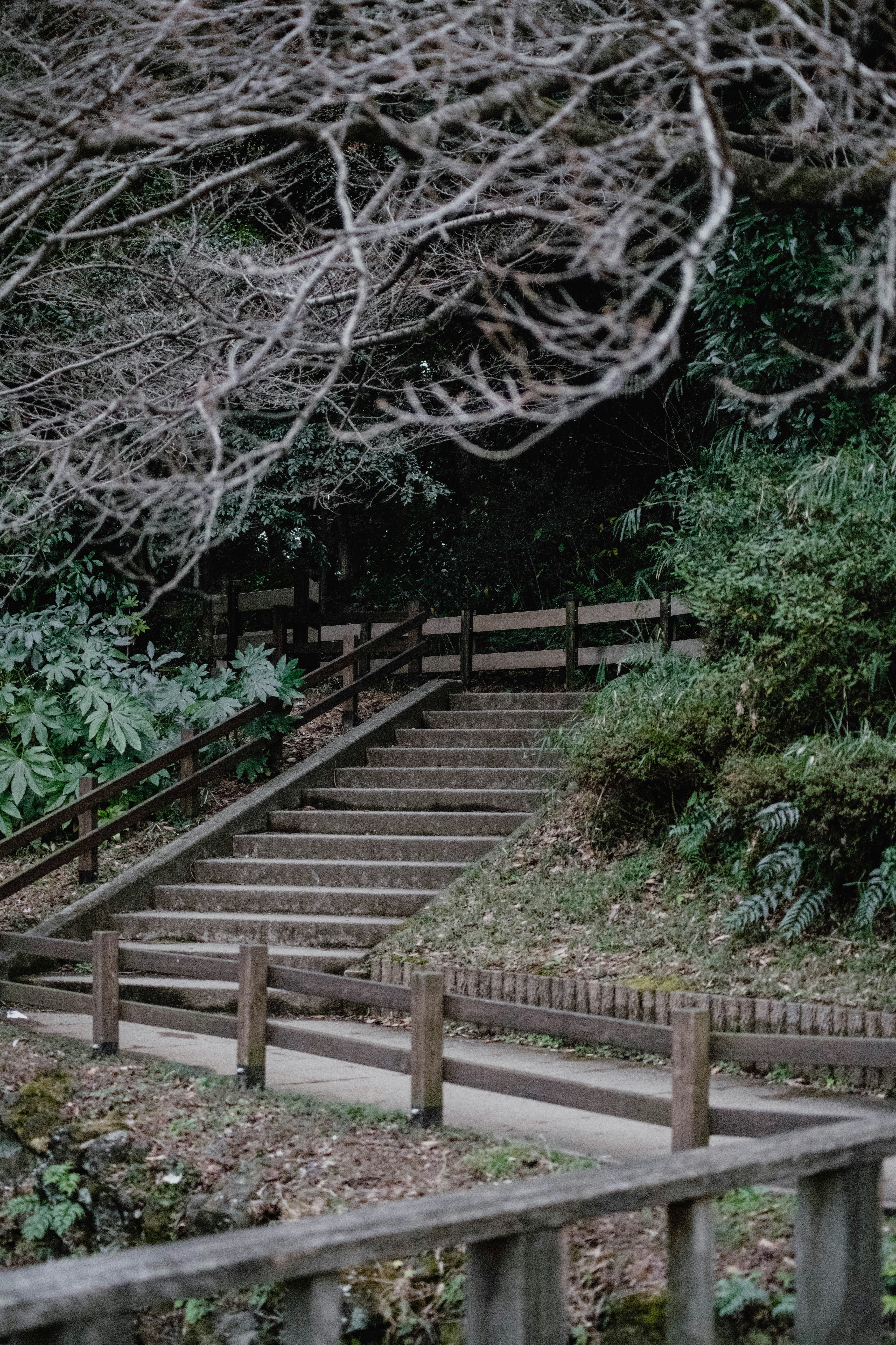 Photo by jamillatrach